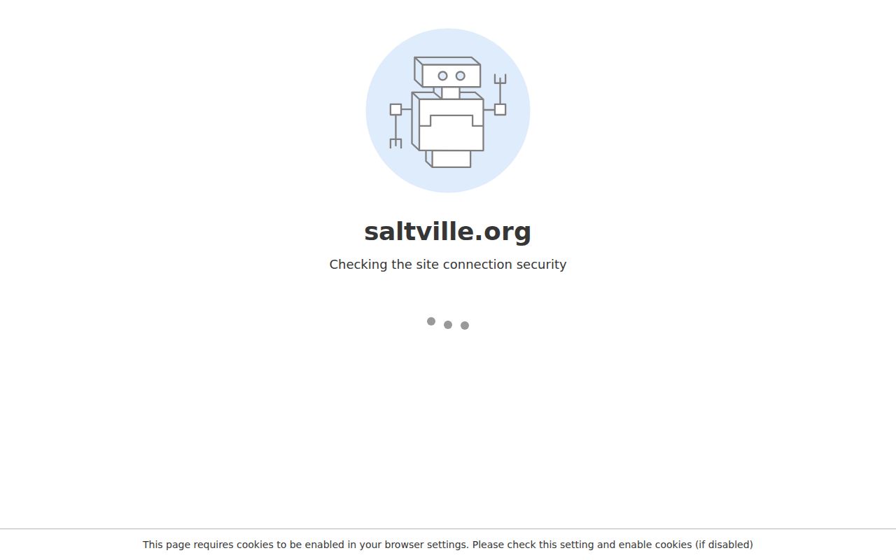 Saltville police services for local criminal record requests